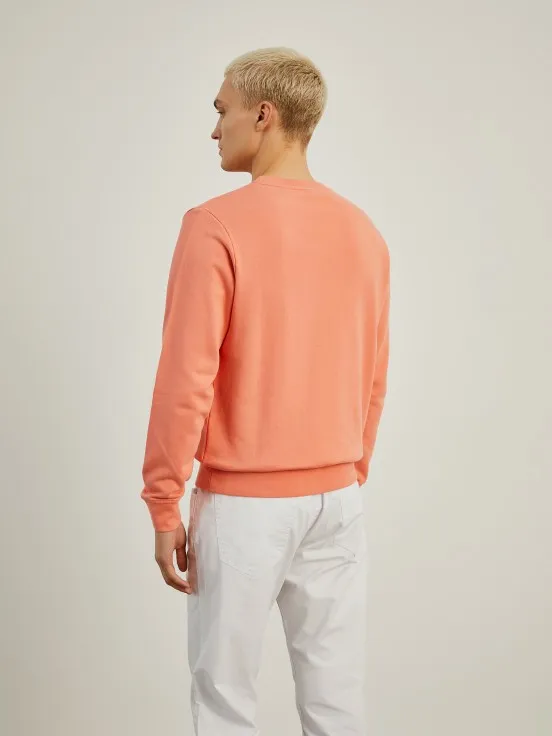 Basic cotton sweater