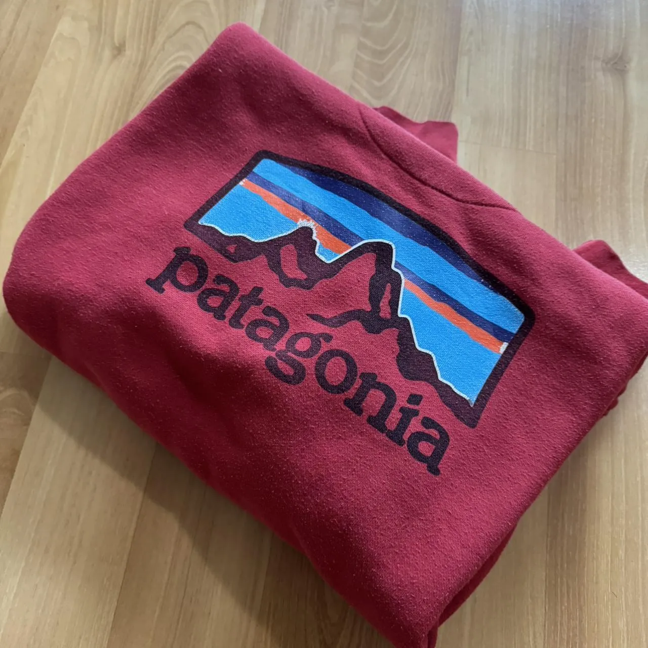 Patagonia Men's Red and Burgundy Hoodie